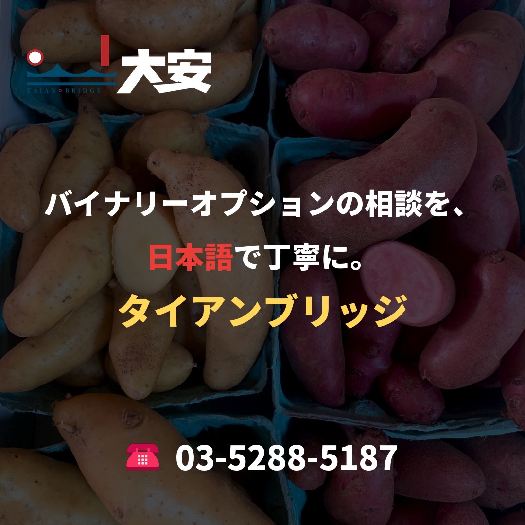 バイナリーオプションの相談を、日本語で丁寧に。｜タイアンブリッジ