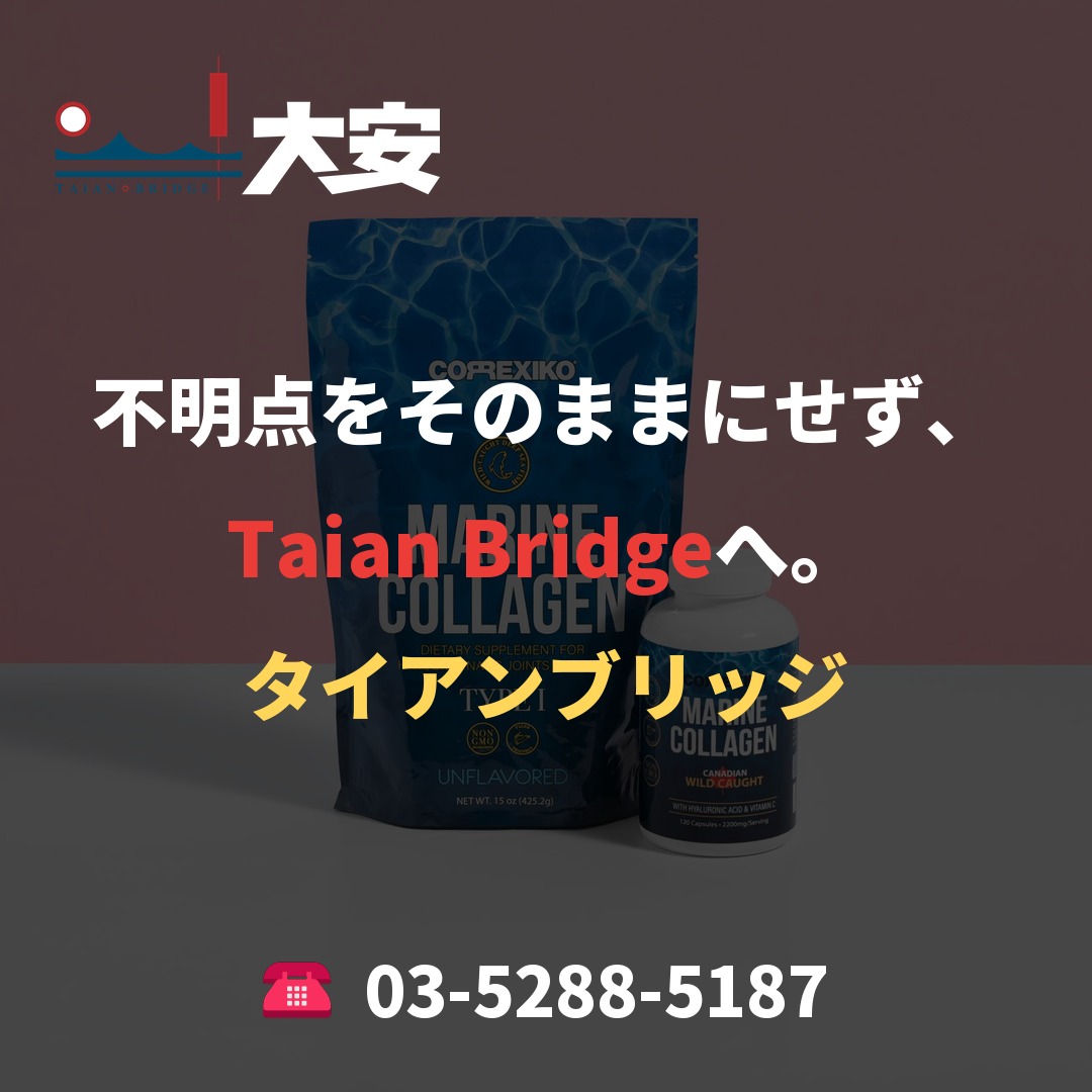 不明点をそのままにせず、Taian Bridgeへ。