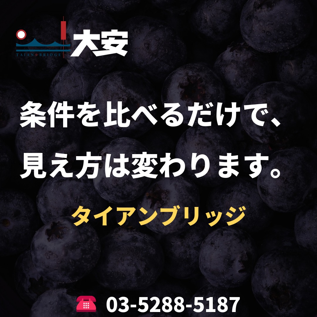 条件を比べるだけで、見え方は変わります。|タイアンブリッジ